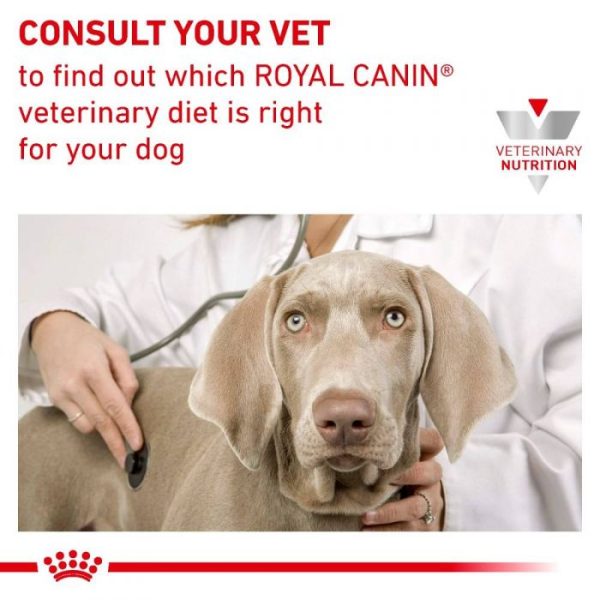 Royal Canin Hypoallergenic Moderate Calorie Dry Dog Food - Image 2