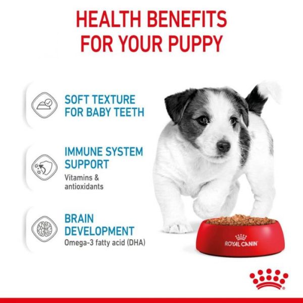 Royal Canin Mini Puppy Wet Food (in Gravy) 12x85g Pouches - Image 3