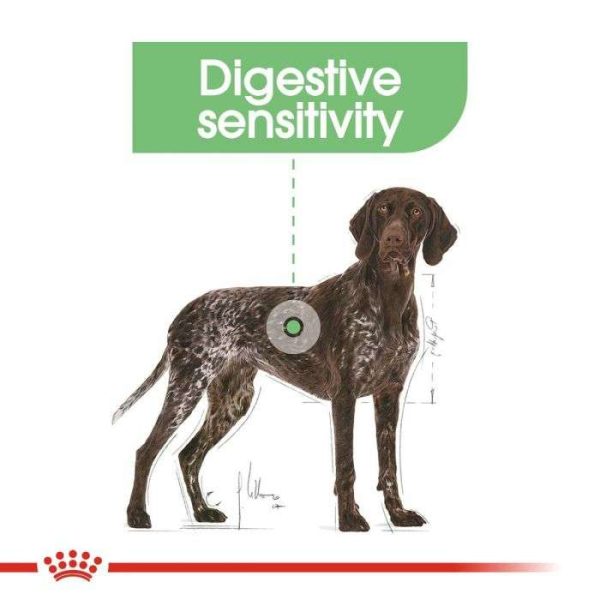 Royal Canin Maxi Digestive Care Adult Dry Dog Food - Image 9