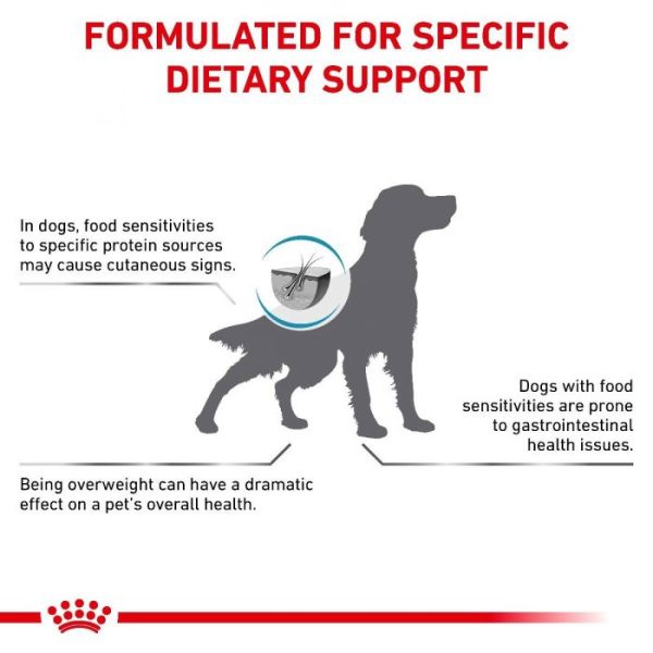 Royal Canin Hypoallergenic Moderate Calorie Dry Dog Food - Image 6