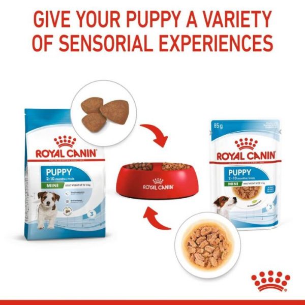 Royal Canin Mini Puppy Wet Food (in Gravy) 12x85g Pouches - Image 9