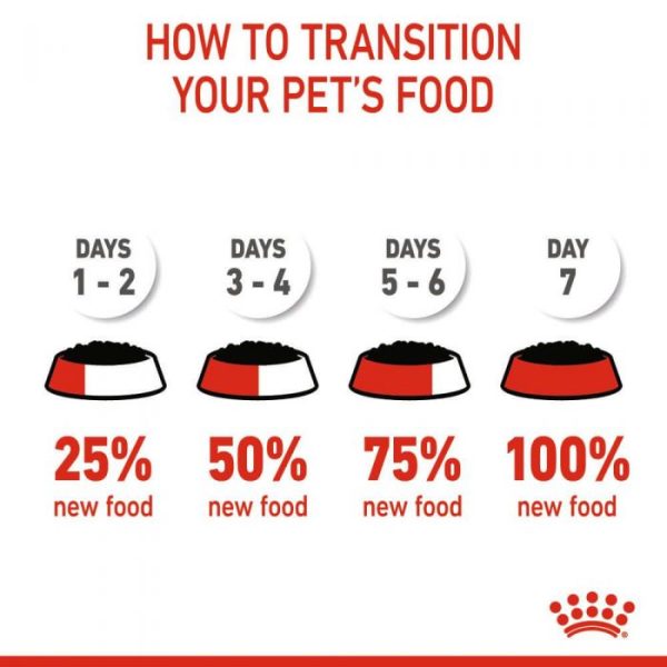 Royal Canin Mini Puppy Wet Food (in Gravy) 12x85g Pouches - Image 6