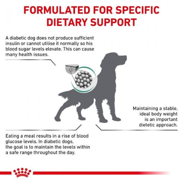 Royal Canin Diabetic Dry Dog Food - Image 3