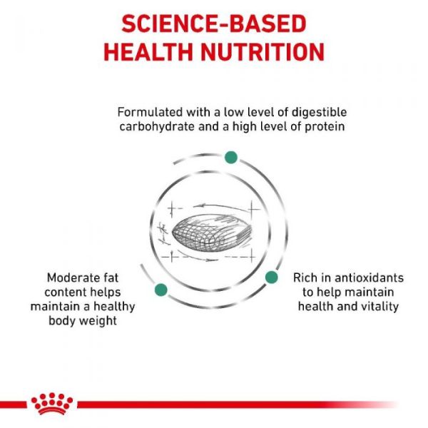 Royal Canin Diabetic Dry Dog Food - Image 4