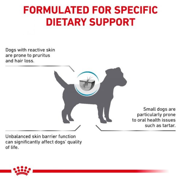 Royal Canin Skin Care Adult Small Dog Dry Food - Image 7