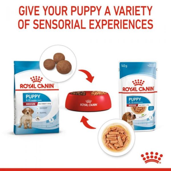 Royal Canin Medium Puppy Wet Food (in Gravy) 10x140g Pouches - Image 10