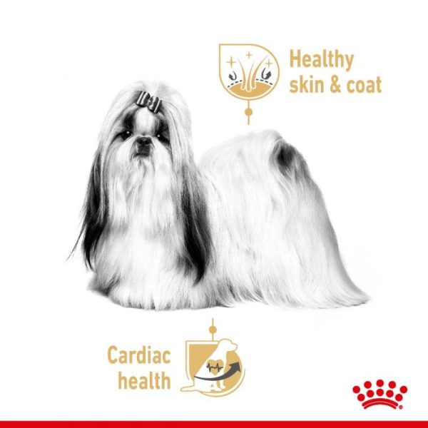 Royal Canin Shih Tzu Adult Wet Dog Food (in Loaf) 12x85g Pouches - Image 8