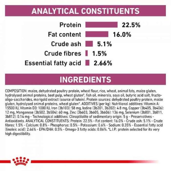 Royal Canin Early Renal Dry Dog Food - Image 3