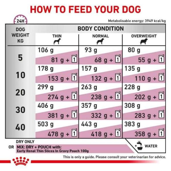 Royal Canin Early Renal Dry Dog Food - Image 4