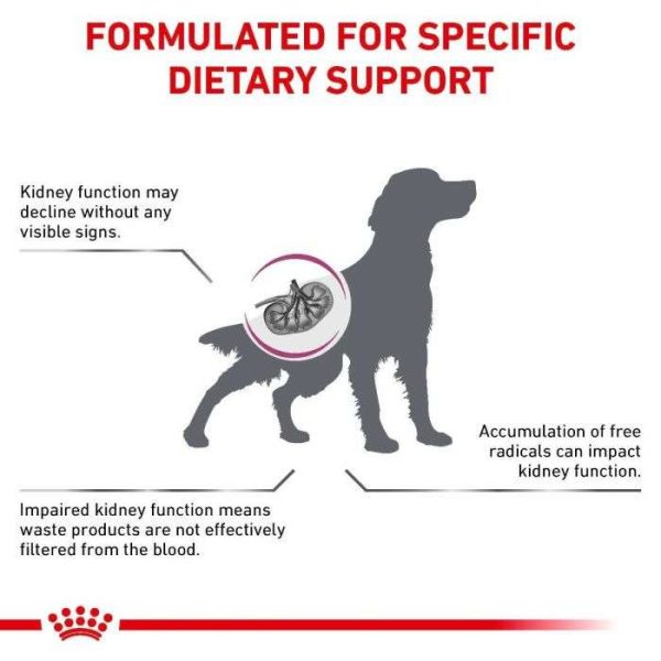 Royal Canin Early Renal Dry Dog Food - Image 6