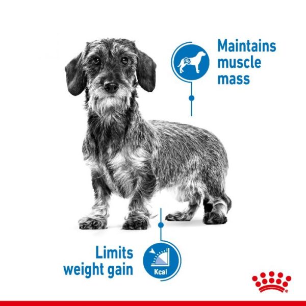 Royal Canin X-Small Light Weight Care Adult Dry Dog Food 1.5kg - Image 3