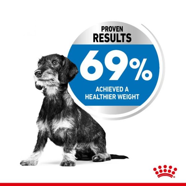 Royal Canin X-Small Light Weight Care Adult Dry Dog Food 1.5kg - Image 4