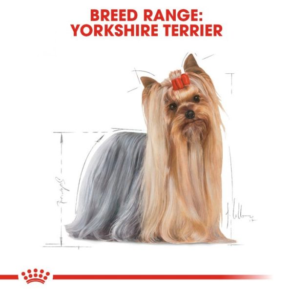 Royal Canin Yorkshire Terrier Adult Wet Dog Food (in Loaf) 12x85g Pouches - Image 3