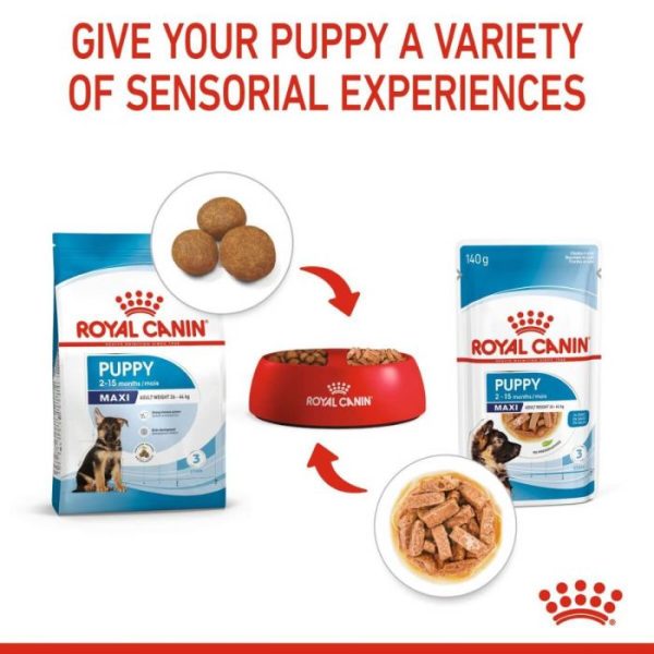 Royal Canin Maxi Puppy Wet Food (in Gravy) 10x140g Pouches - Image 10