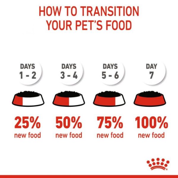 Royal Canin Maxi Puppy Wet Food (in Gravy) 10x140g Pouches - Image 9