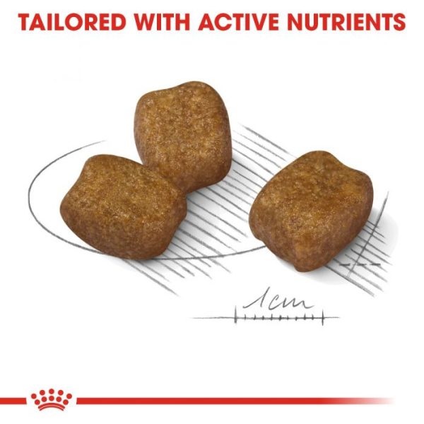 Royal Canin Adult Dental Care Mini Breed Dry Dog Food - Image 8