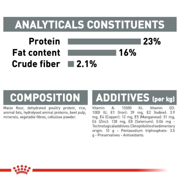 Royal Canin Adult Dental Care Mini Breed Dry Dog Food - Image 6