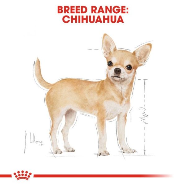 Royal Canin Chihuahua Adult Wet Dog Food (in Loaf) 12x85g - Image 10