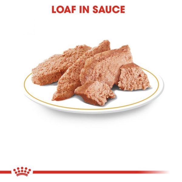 Royal Canin Chihuahua Adult Wet Dog Food (in Loaf) 12x85g - Image 9