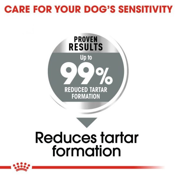 Royal Canin Medium Breed Dental Care Dry Dog Food - Image 4