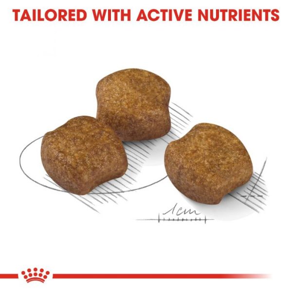 Royal Canin Medium Breed Dental Care Dry Dog Food - Image 8