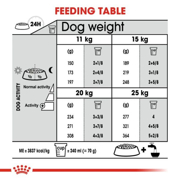 Royal Canin Medium Breed Dental Care Dry Dog Food - Image 7