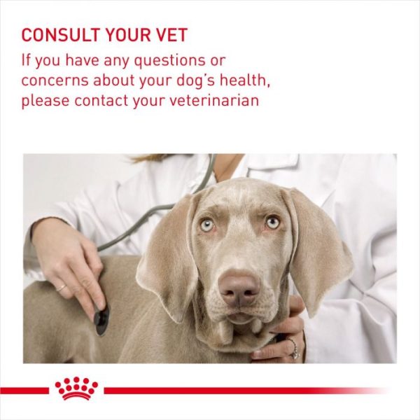 Royal Canin Medium Breed Dental Care Dry Dog Food - Image 5