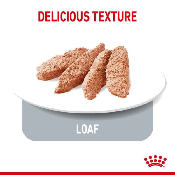 Royal Canin Light Weight Care Adult Wet Dog Food Pouches (in Loaf) 12x85g - Image 4