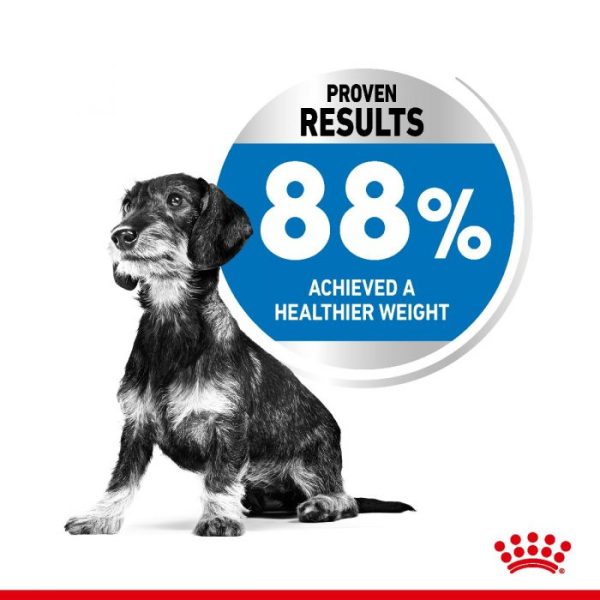 Royal Canin Mini Light Weight Care Adult Dry Dog Food - Image 7