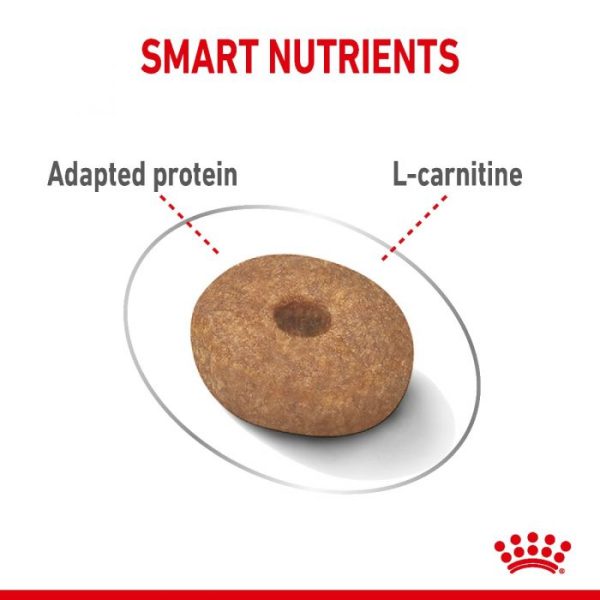 Royal Canin Mini Light Weight Care Adult Dry Dog Food - Image 6