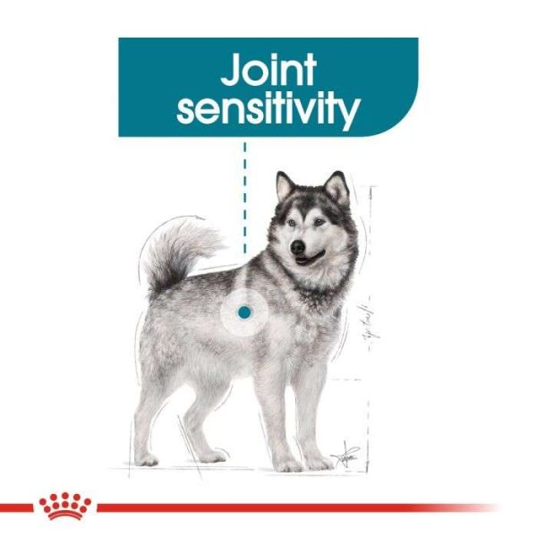 Royal Canin Maxi Joint Care Adult Dry Dog Food - Image 7