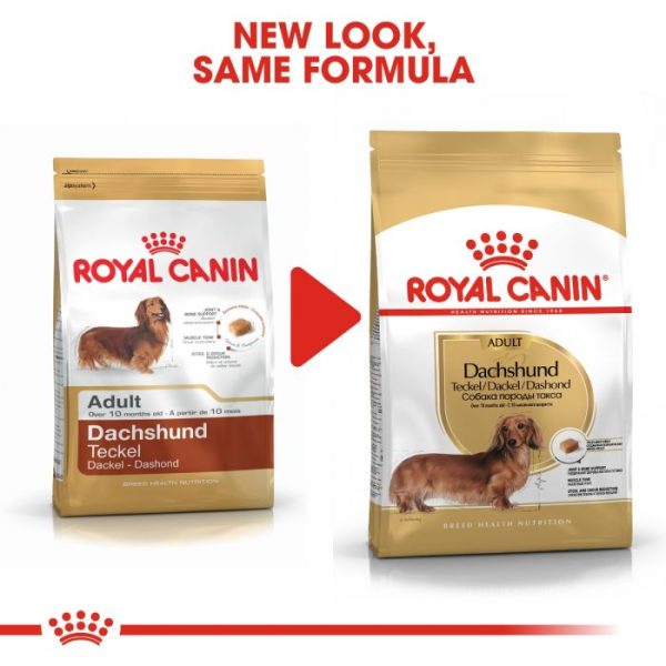 Royal Canin Adult Dachshund Wet Dog Food (in Loaf) 12x85g Pouches - Image 5