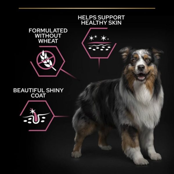 Purina Pro Plan Sensitive Skin Adult 7+ Medium/Large Breed - Dry Dog Food with Salmon 14kg - Image 2