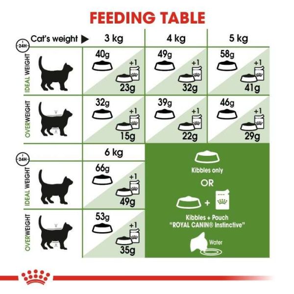 Royal Canin Active Life Outdoor Adult Cat Dry Food - Image 5