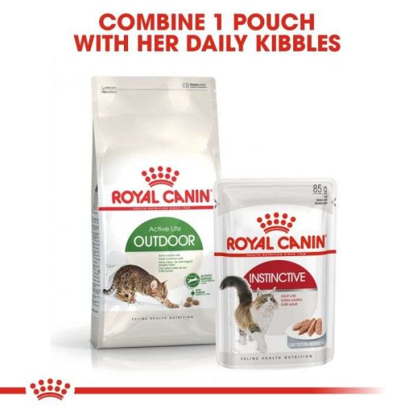 Royal Canin Active Life Outdoor Adult Cat Dry Food - Image 6