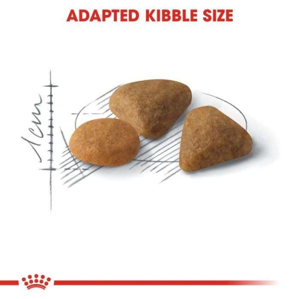 Royal Canin Feline Preference Savour Exigent Adult Cat - Dry Food - Image 6