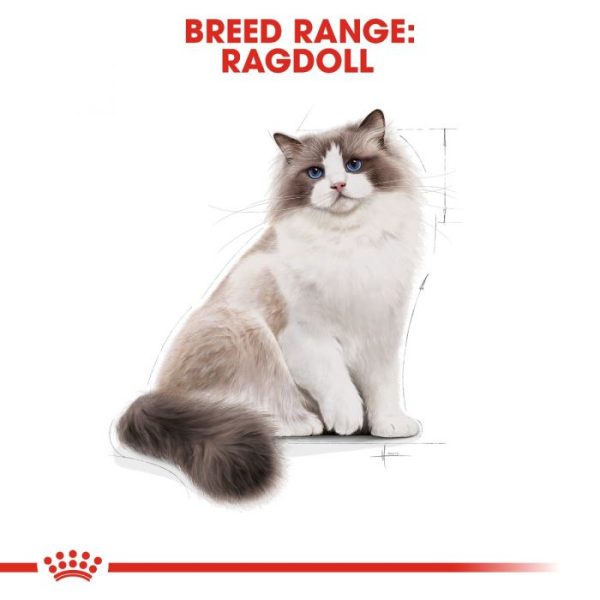 Royal Canin Ragdoll Adult Dry Cat Food - Image 4