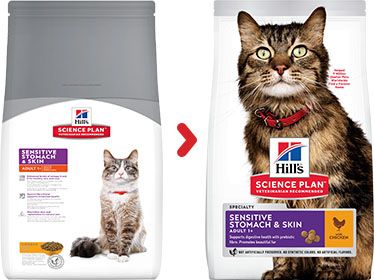 Hill's Science Plan Adult 1+ Sensitive Stomach & Skin Dry Cat Food Chicken - Image 2