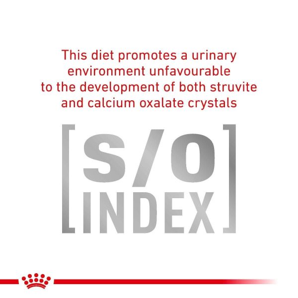 Royal Canin Early Renal Dry Cat Food - Image 6