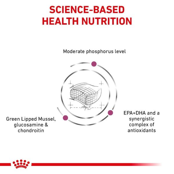 Royal Canin Early Renal Dry Cat Food - Image 8