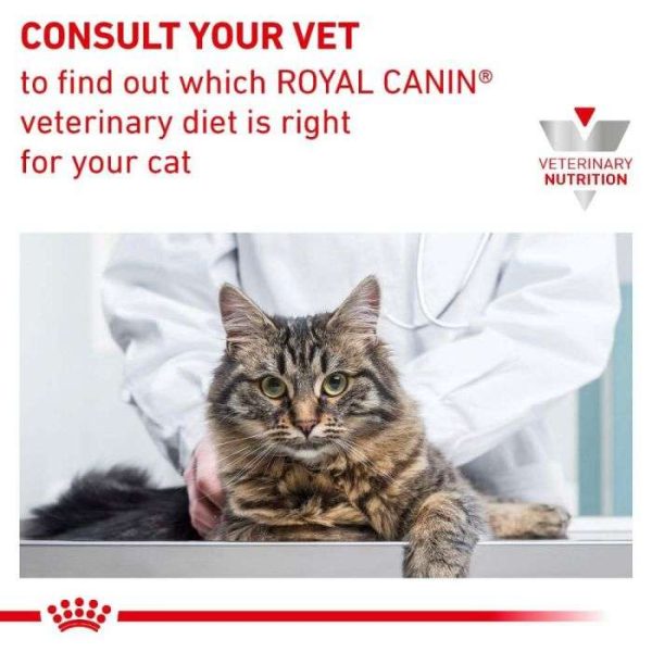 Royal Canin Hepatic Dry Cat Food - Image 2