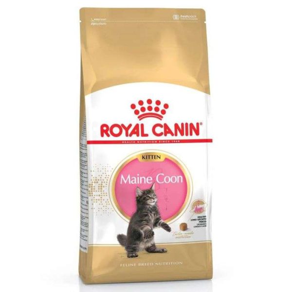 Royal Canin Maine Coon Kitten Dry Food