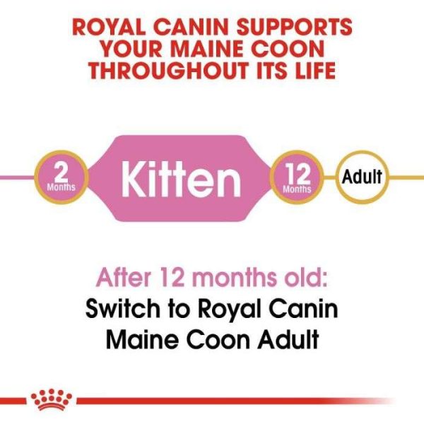 Royal Canin Maine Coon Kitten Dry Food - Image 4