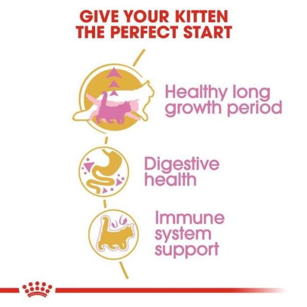 Royal Canin Maine Coon Kitten Dry Food - Image 5