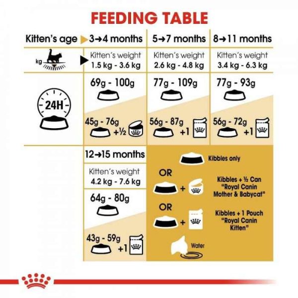 Royal Canin Maine Coon Kitten Dry Food - Image 7