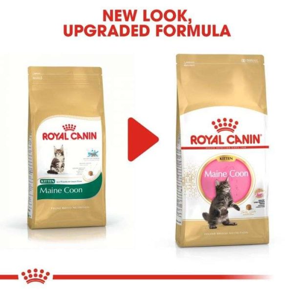 Royal Canin Maine Coon Kitten Dry Food - Image 2