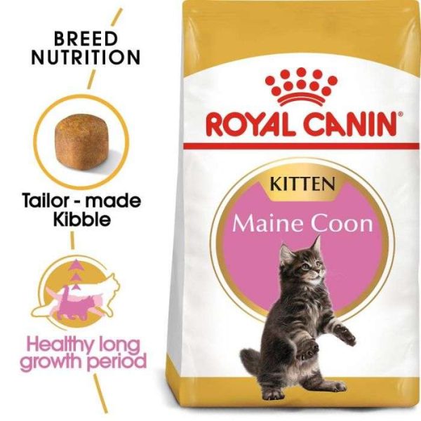 Royal Canin Maine Coon Kitten Dry Food - Image 9