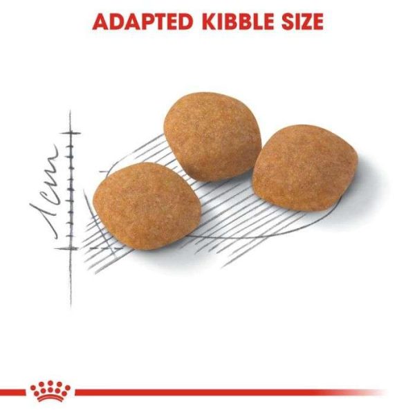Royal Canin Feline Preference Protein Exigent Adult Cat Dry Food - Image 7